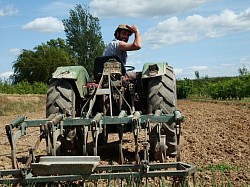 Feina de tractor per treballar la terra